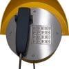 FMN Wandtelefon Alpha Open Air, zinkgelb Mit Panzerschnur, Mit Display, Mit Tastatur, Anschlussnetz: VoIP, Schutzart IP66, Umgebungstemperatur -40 °C bis +70 °C, Rufton = 95 dB(A) in 1 m Abstand Hrst-Art-Nr. FHF114411220