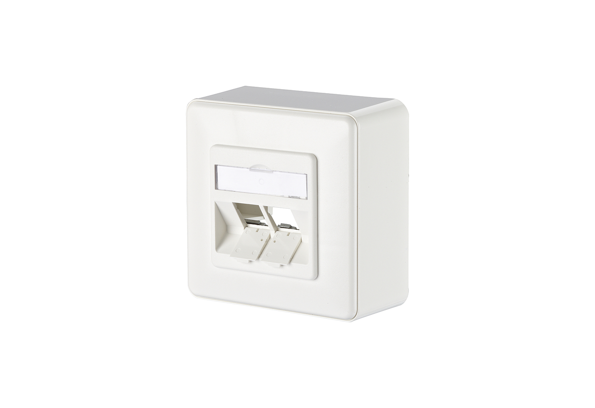 Modul Anschlussdose AP 2 Port leer, reinweiss Modul Anschlussdose AP 2 Port leer, reinweiss