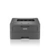 Brother HL-L2400DWE Monolaserdrucker (EcoPro)
