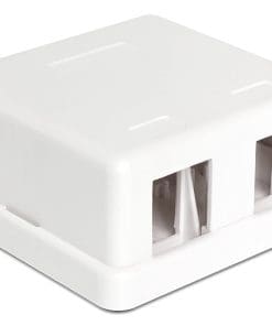 Delock Keystone Leergehäuse 2 Port weiß