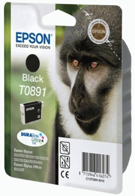 Epson Tintenpatrone T0891 Schwarz (ca. 170 Seiten) Epson Tintenpatrone T0891 Schwarz (ca. 170 Seiten) – Bild 2