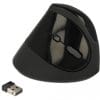 Delock Ergonomische USB Maus vertikal - kabellos- Schwarz
