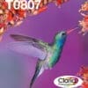 Epson Tintenpatronen Multipack T0807 (6 Farben)
