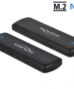 Delock Externes Gehäuse für M.2 NVMe PCIe SSD mit USB Type-C Buchse