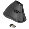Delock Ergonomische vertikal optische 5-Tasten Maus 2,4 GHz kabellos - Lautlos (USB 3.1 Gen 2)