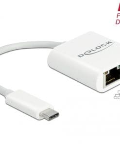 Delock USB Type-C Adapter zu Gigabit LAN 10/100/1000 Mbps