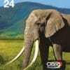 Epson Tintenpatronen Multipack 24 (6 Farben)