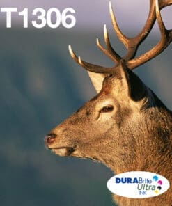 Epson Tintenpatronen Multipack T1306 (3 Farben)