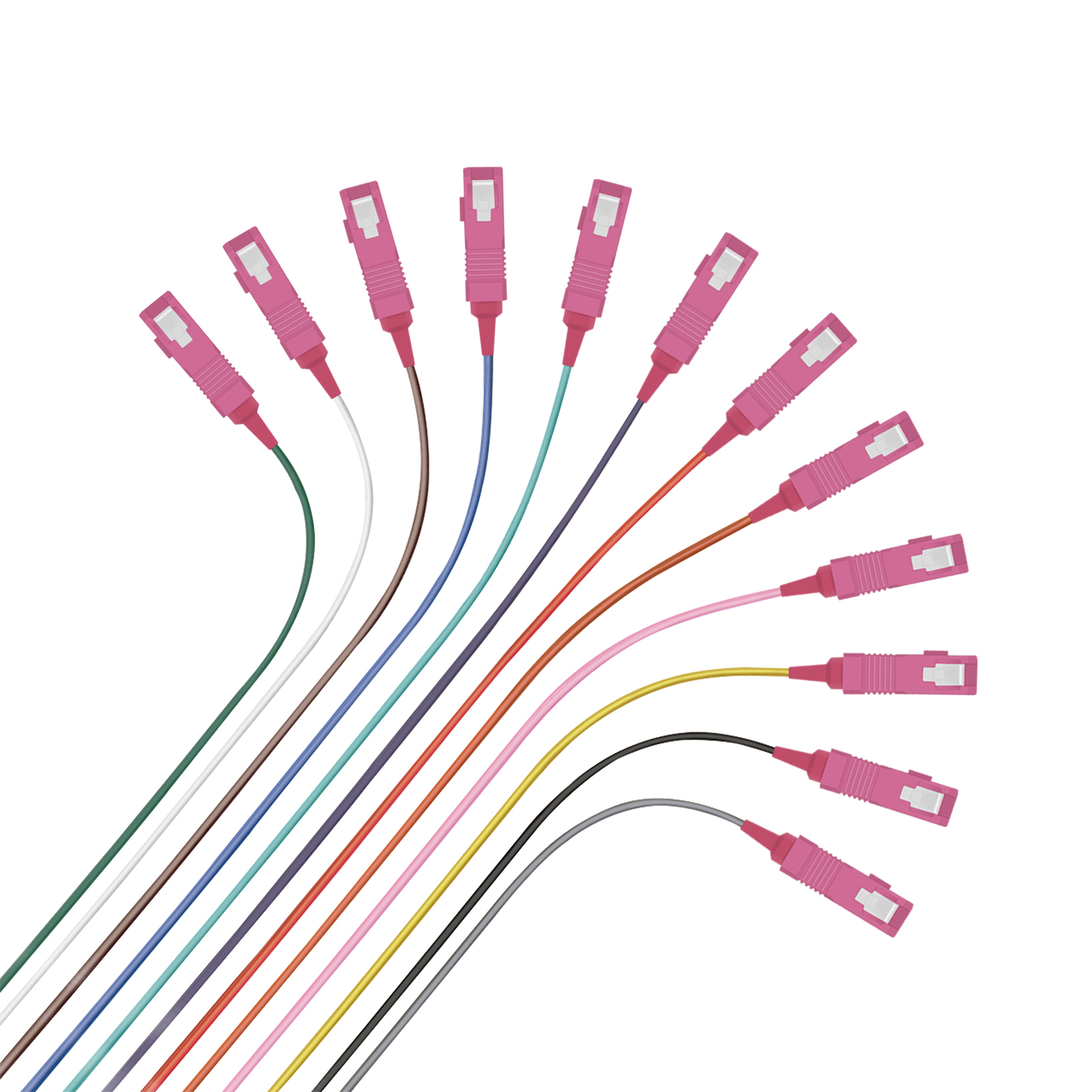 helos LWL OM4 Faserpigtail 12 x SC easy strip 2,0m helos LWL OM4 Faserpigtail 12 x SC easy strip 2,0m