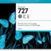 HP 727 Grau DesignJet Tintenpatrone, 300 ml