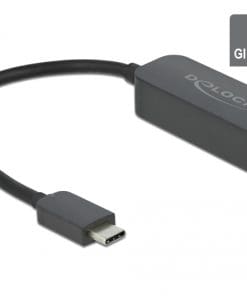 Delock Adapter USB Type-C Stecker zu 2,5 Gigabit LAN kompakt