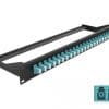 Delock 19" LWL Patchpanel 24 Port LC Duplex aqua