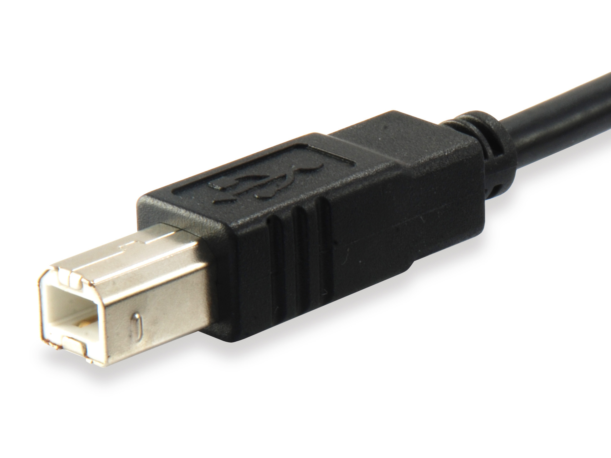 equip USB 2.0 Kabel Typ B Stecker auf Typ C Stecker 1,0m equip USB 2.0 Kabel Typ B Stecker auf Typ C Stecker 1,0m – Bild 2