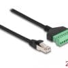 Delock RJ45 Kabel Cat.6 Stecker zu Terminalblock Adapter 2 m 2-teilig
