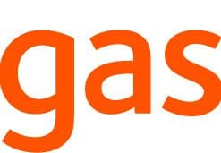 Gigaset Pro DECT-Outdoor Gehäuse N720/N870