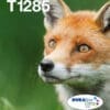Epson Tintenpatronen Multipack T128 (4 Farben)