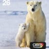 Epson Tintenpatronen Multipack 26 (4 Farben) Geld sparen mit separaten Einzelpatronen<br>Dank der Einzelpatronen von Epson brauchen Sie nur die verbrauchte Farbe zu ersetzen.<br><br>Niedrigere Druckkosten dank XL-Tintenpatronen<br>Die neuesten Tintenpatronen von Epson gibt es wahlweise in den Größen Standard und XL. Die Größe XL ist ideal für das Drucken großer Mengen und kann Ihre Druckkosten um bis zu 25 %2 senken.<br><br>Tinten von Epson sind für Epson Drucker optimiert<br>Tinten und Papiere von Epson werden speziell zur Verwendung mit Druckern von Epson entwickelt und liefern stets optimale Ergebnisse.
