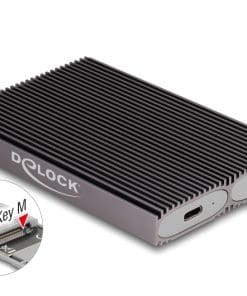 Delock Externes USB Type-C Dual Combo Gehäuse für 2 x M.2