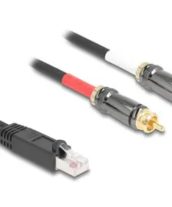 Delock Adapterkabel RJ45 Stecker zu 2 x Cinch Stecker schwarz 2 m