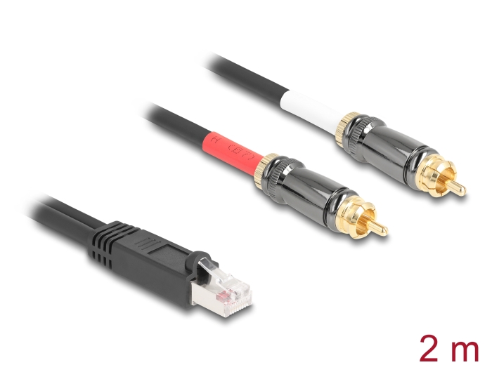 Delock Adapterkabel RJ45 Stecker zu 2 x Cinch Stecker schwarz 2 m Delock Adapterkabel RJ45 Stecker zu 2 x Cinch Stecker schwarz 2 m
