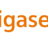 Gigaset pro Netzteil PSU EU L36280-V4-C806