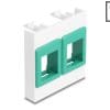 Delock Easy 45 Modul mit zwei Keystone Halterungen 45 x 45 mm, weiß / grün