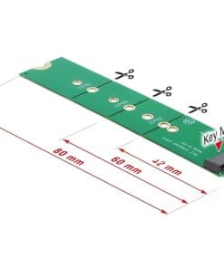 Delock Adapter M.2 Key M Stecker zu M.2 Key M Slot