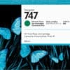 HP 747 Chromatisches Grün DesignJet Tintenpatrone, 300 ml Ideal für Druckdienstleister, Hersteller/Benutzer von GIS-Karten und Einzelhändler – zur Ausgabe hochwertiger Technik- und Grafikdrucke, die wasserbeständig sind und nicht verblassen.HP Vivid Fototinten in chromatischen Farben sorgen gemeinsam mit hochauflösenden HP Druckköpfen für kontrastreiche Ergebnisse. Die wasser- und lichtbeständigen Drucke halten bei Aufbewahrung im Dunkeln länger als 200 Jahre. Mehr Qualität mit weniger Tinten – das senkt Ihre Druckkosten.
