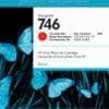 HP 746 Chromatisches Rot DesignJet Tintenpatrone, 300 ml