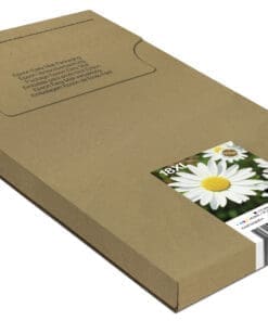 Epson Tintenpatronen Multipack 18XL (4 Farben) Epson Tintenpatronen Multipack 18XL (4 Farben) – Bild 3