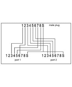Alternative view of InLine® ISDN Port-Doppler, 1x RJ45 Stecker an 2x RJ45 Buchse, mit Kabel, grau