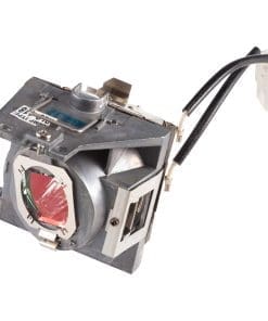Viewsonic RLC-118 Projektorlampe