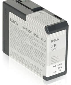 Epson Tintenpatrone T5809 hell hell Schwarz (80ml)