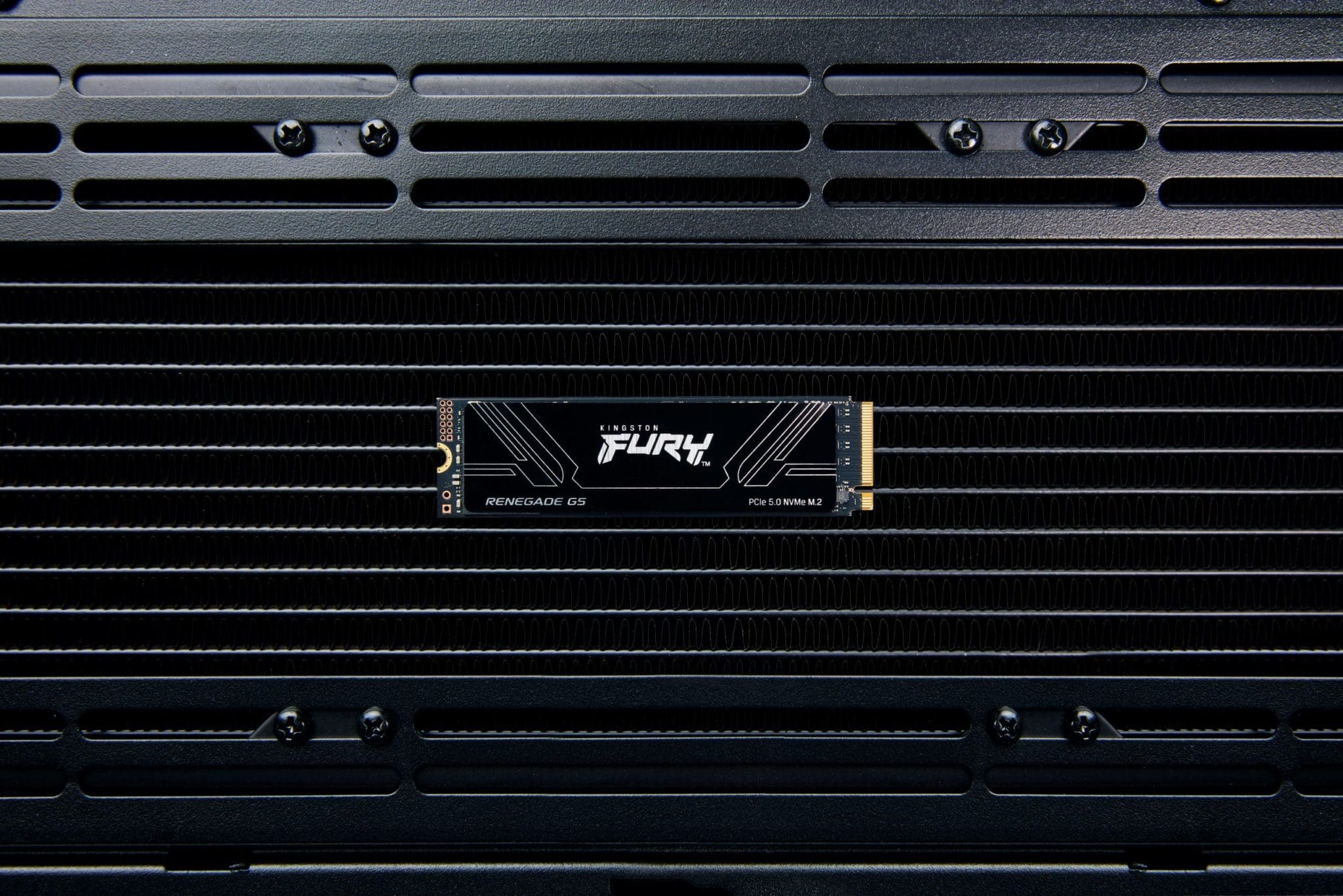 Kingston SSD M.2 1TB Renegade G5 NVMe SFYR2S/1T0 Kingston SSD M.2 1TB Renegade G5 NVMe SFYR2S/1T0 – Bild 7