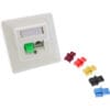InLine® Staubschutz, für RJ45 Buchse, Farbe: blau, 100er Pack