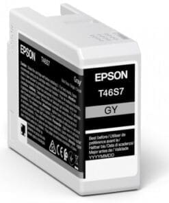 Epson Tintenpatrone T46S7 Grau (25ml)