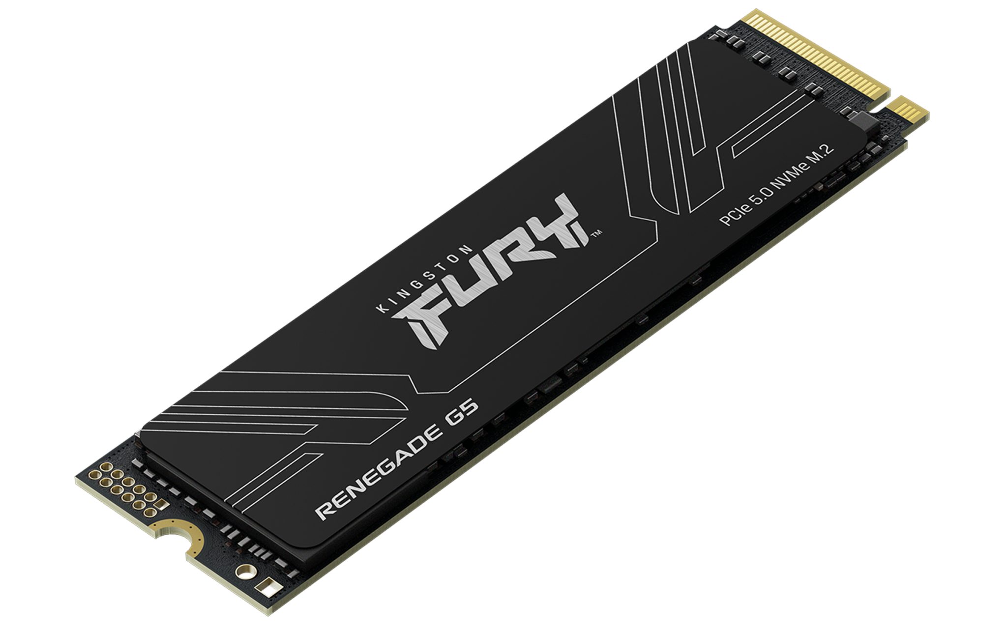 Kingston SSD M.2 1TB Renegade G5 NVMe SFYR2S/1T0 Kingston SSD M.2 1TB Renegade G5 NVMe SFYR2S/1T0 – Bild 3