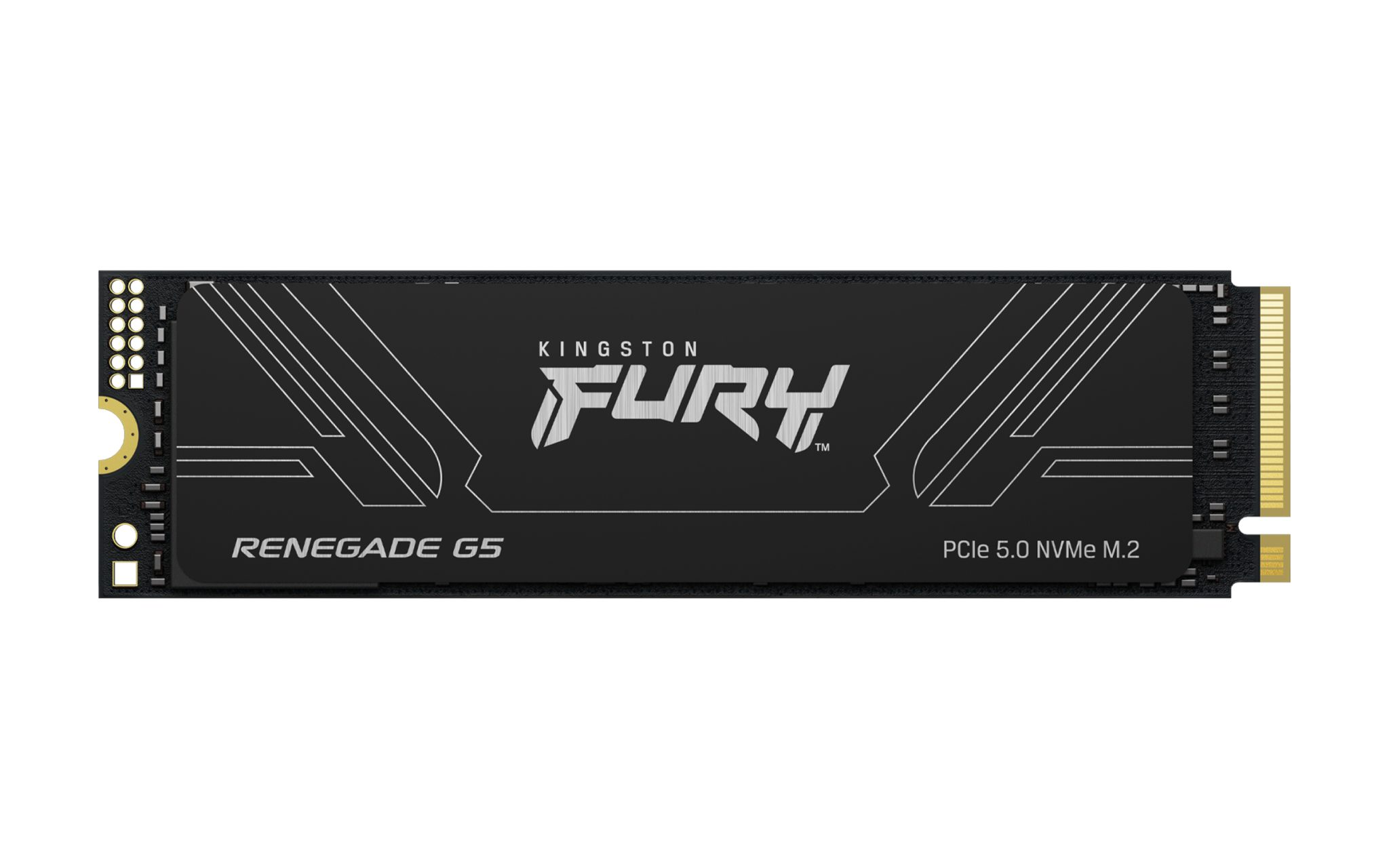 Kingston SSD M.2 1TB Renegade G5 NVMe SFYR2S/1T0 Kingston SSD M.2 1TB Renegade G5 NVMe SFYR2S/1T0
